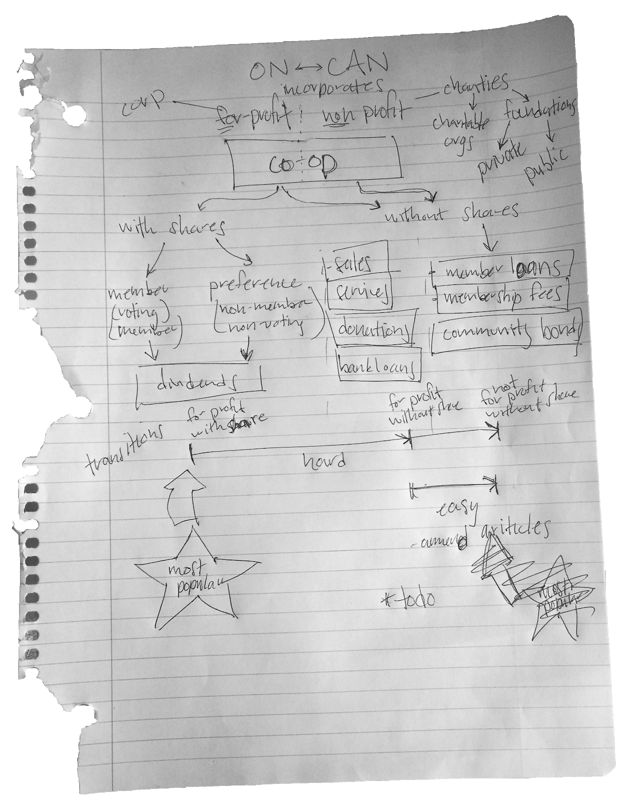 An elaborate flowchart showing the repercushions of choosing Ontario vs Canada, for-profit vs non-profit, and all the fundraising tools available to each.